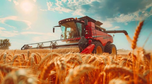 Combine harvester. collecting harvest of rye and wheat, Agriculture grain farming concept, AI