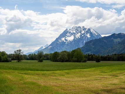 Freshly mown meadow, behind the Grimming, near Woerschach, Ennstal, Styria