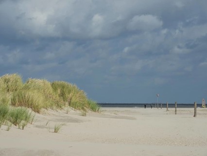 Sand dune landscape with grass and a view of the sea under a cloudy sky, lonely beach with dune