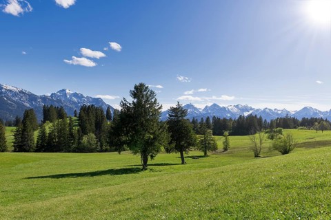 Landscape near Buching, Allgaeu Alps, sun, snow, forest, fir trees, Ostallgaeu, near Fuessen,