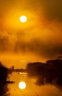 Morning atmosphere, fog, sunlight, backlight, water, Lower Austria