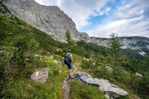 Mountaineer on a hiking trail with red and white markings, Carnic High Trail above the Upper
