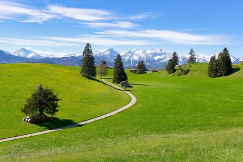 Landscape with trees near Fuessen, Allgaeu Alps, snow, Allgaeu, Bavaria, Germany, Europe