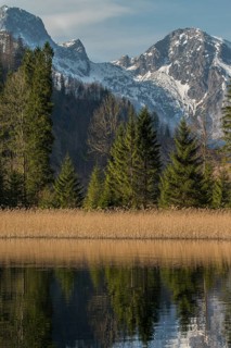 Reflection of the mountains and trees in a calm lake with a clear sky. View from the Almsee to the