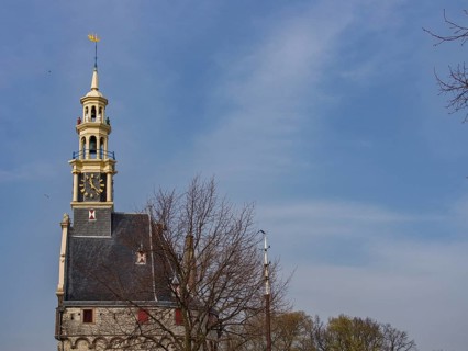 Historic stone clock tower surrounded by trees in front of a blue sky, tower with a golden spire