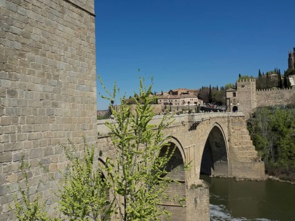 Stone bridge over a river with a historic castle in the background and green plants in the