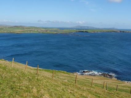 Grassland sloping gently to the deep blue sea under a clear sky, green meadows by a deep blue sea