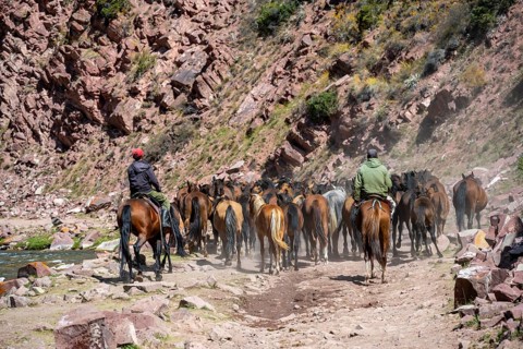 Shepherds on horses driving herd of horses along a track, mountain landscape in Karkyra valley,