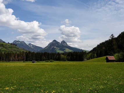 Meadow at the edge of the forest, hay barn, cloudy mood over mountain peaks, near Bad Mitterndorf,