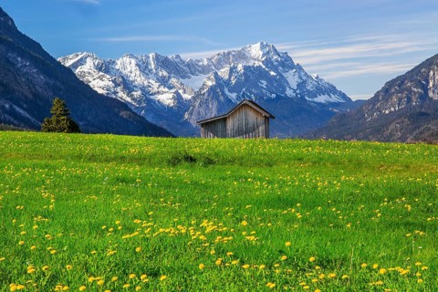 Spring meadow with hay barn in front of Zugspitzgruppe 2962m in Wetterstein range, Eschenlohe,