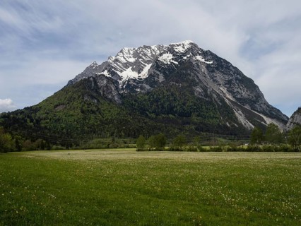 Meadow area, behind the Grimming, near Irdning, Styria, Austria, Europe