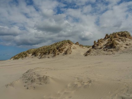 Wide sand dune landscape under a sky with threatening clouds, beach and dunes with grass and a