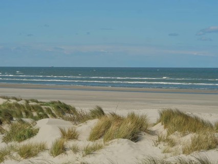 Coastal landscape with dunes and grass, sea view under a clear blue sky, beach and dunes with grass