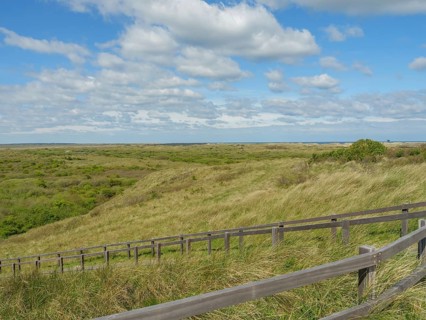 Wide dune landscape with a wooden path, blue sky with clouds, in the background the sea, dune and