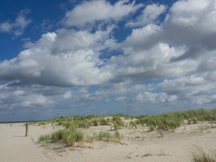 Grassy dunes on the beach under a cloudy blue sky, lonely beach with dune grass in the neighbouring