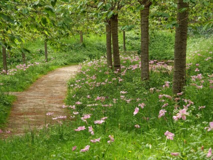 A winding path in a park surrounded by green bushes and pink flowers, small, winding path between
