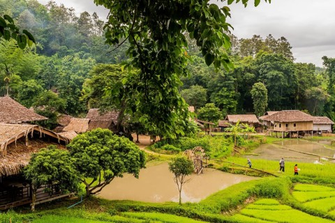 Landscape of Five Hill Tribes Village house and rice paddies with unidentified people working in
