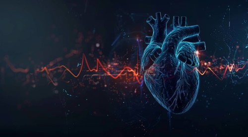 Hearth health cardiology concept with display that shows science research for heart diseases, AI