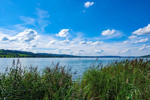 View over a calm lake with water sportsmen surrounded by green grass and a blue sky with clouds,