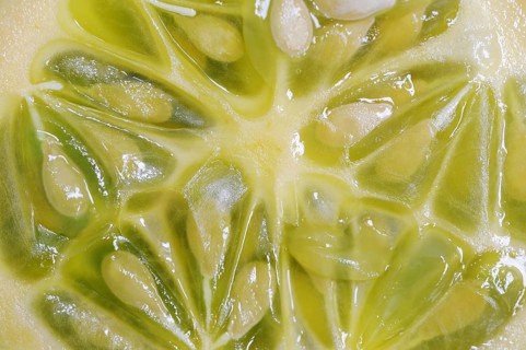 African horned melon (Cucumis metuliferus), sliced fruit