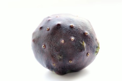 Zanzibar yam or Zanzibar yam (Dioscorea sansibarensis), tuber on a white background