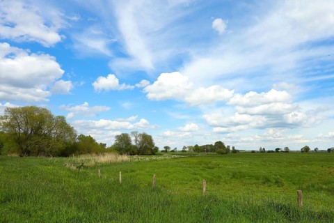 Meadow landscape with clouds on the southern shore of the Duemmer, inland lake, Huede, Lower