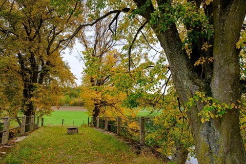 Schneidheimer Sechta, near Itzlingen, Noerdlinger Ries, Ostalbkreis, Baden-Wuerttemberg, Germany,