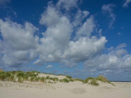 Sand dunes with tufts of grass under a blue sky with white clouds, sand dune with dune grass on a