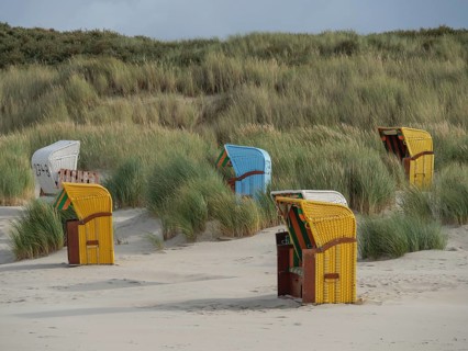 Beach chairs in different colours stand along the dunes, protected by high grasses, colourful beach