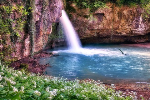 Waterfall with small pond, wild garlic in bloom, Canton Basel-Landschaft, Switzerland, Europe