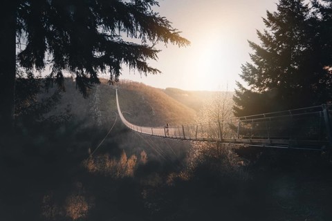 Woman looks into the distance at sunrise on the Geierlay suspension rope bridge in Moersdorf in