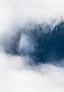 Wooded mountain looks out of cloud cover, view from Ettaler Manndl, high fog in the valley,