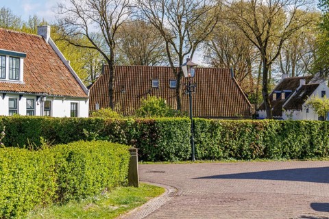 Houses and bushes along a lane surrounded by trees in a village in spring, historic houses in a