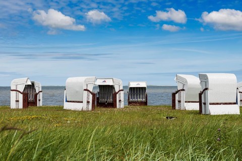 Beach chairs, Harlesiel, Carolinensiel, East Frisia, Lower Saxony, Germany, Europe