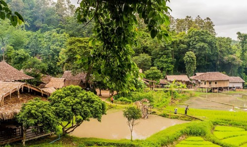 Landscape of Five Hill Tribes Village house and rice paddies with unidentified people working in