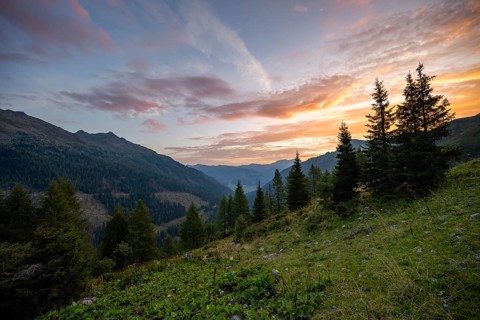 Picturesque mountain landscape at sunrise with mountains and pine trees under a colourful sky, view