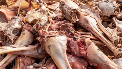 Lots of raw meat, offal with bones, AI generated, AI generated