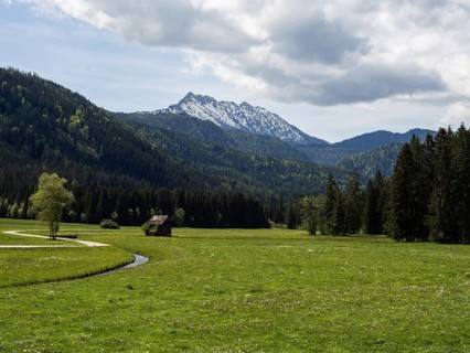Hay barn in a green meadow, behind Kammspitze, near Bad Mitterndorf, Styria, Austria, Europe