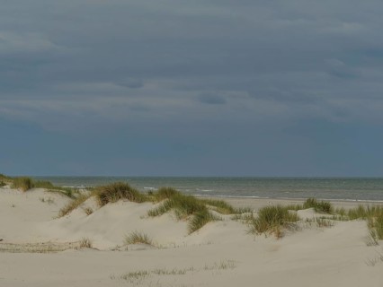 Calm sea behind sand dunes and reeds under a cloudy sky, dunes by the sea with clouds in the blue