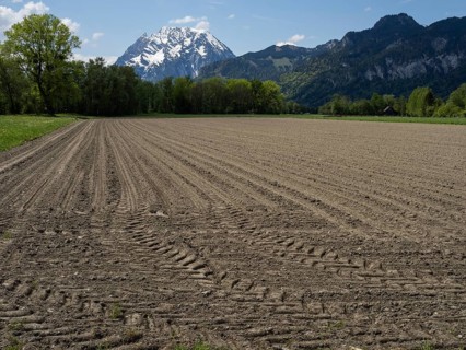Arable land, behind the Grimming, near Irdning, Ennstal, Styria, Austria, Europe
