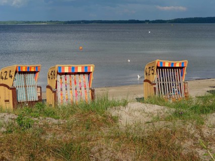Some beach chairs standing next to each other on the sandy beach, the calm sea and the cloudy sky
