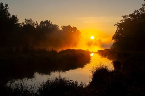 Morning atmosphere, fog, sunlight, backlight, water, Lower Austria