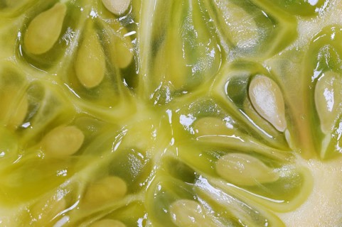 African horned melon (Cucumis metuliferus), sliced fruit
