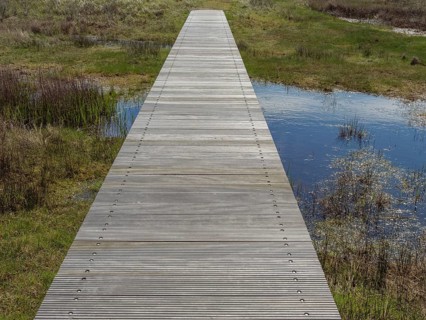 A wooden path crosses a marshy area with green grass and small patches of water, cloudy sky, wooden