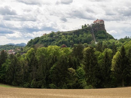 Farmland at the edge of the forest, Riegersburg, East Styrian volcanic region, near Riegersburg,