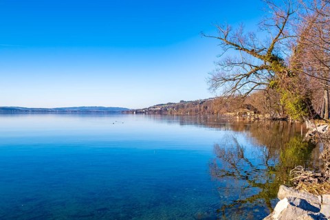 View of Lake Sempach with blue sky, Sempach, Switzerland, Europe