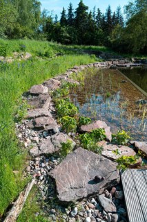 Pond in a natural garden, practical nature conservation, biotope for insects, amphibians and birds,