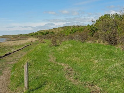 Green landscape with bushes and a natural path along the coast under a cloudy sky, dune and hiking