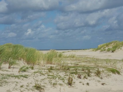 Sandy dune landscape with clouds in the sky, quiet and peaceful nature, lonely beach with dune