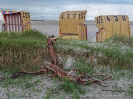 Several beach chairs on a sandy beach, in the foreground a fallen tree trunk and grasses, beach